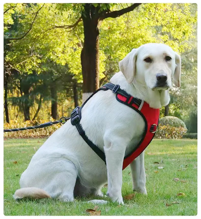 Reflective No-Pull Dog Vest Harness with Name Card