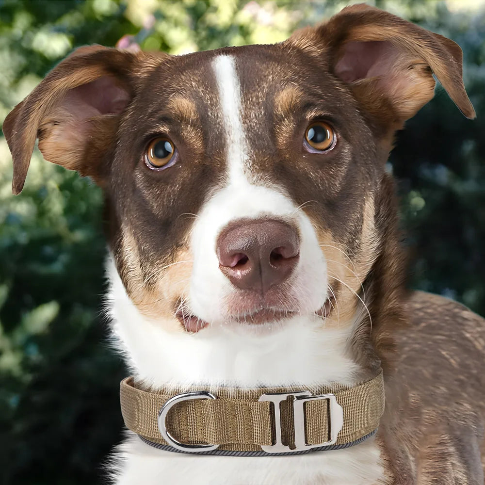 Collier d'entraînement tactique réfléchissant pour grands chiens