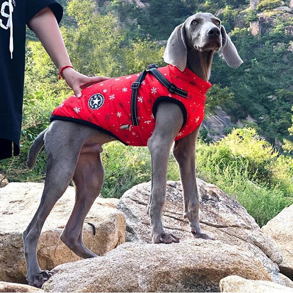 Reflective Fleece Dog Jacket with Integrated Harness