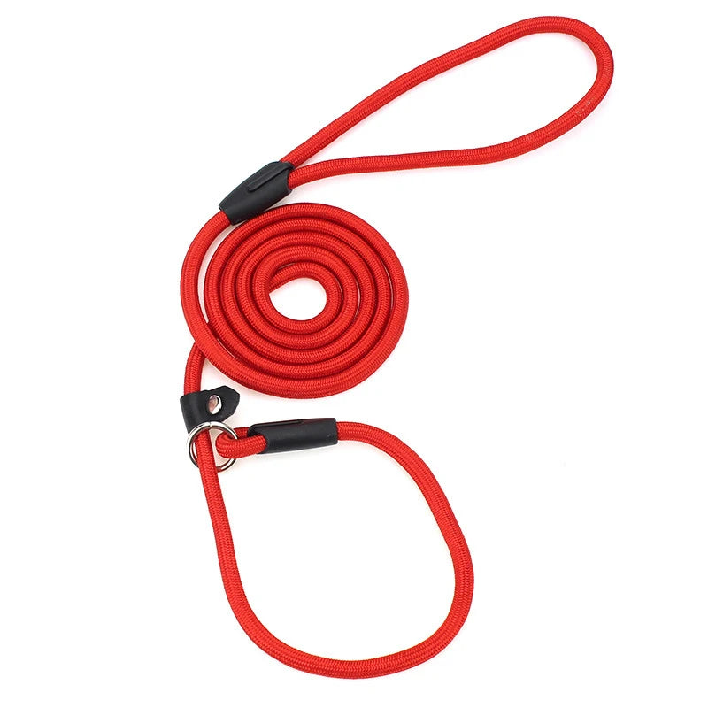 Nylon Slip Lead Training Leash for Small & Medium Dogs