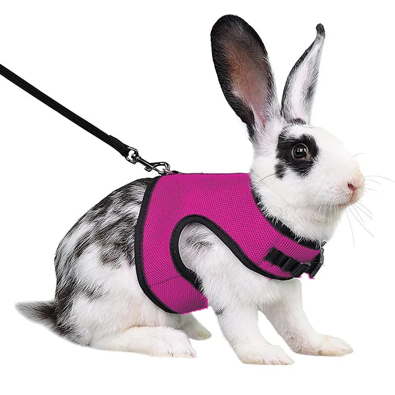 Mesh Breathable Harness & Leash Set for Rabbits, Ferrets & Small Pets