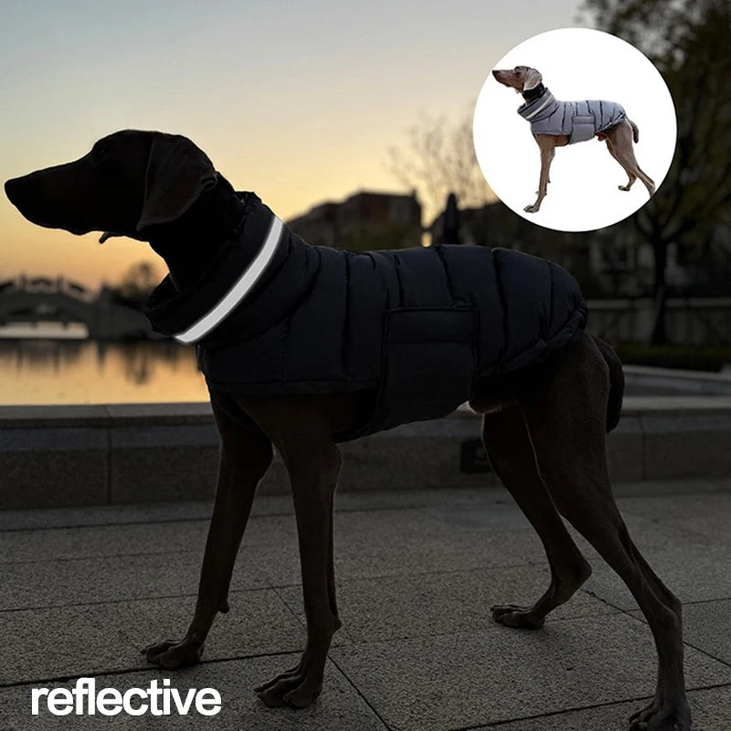 Windproof Winter Down Vest for Small Dogs