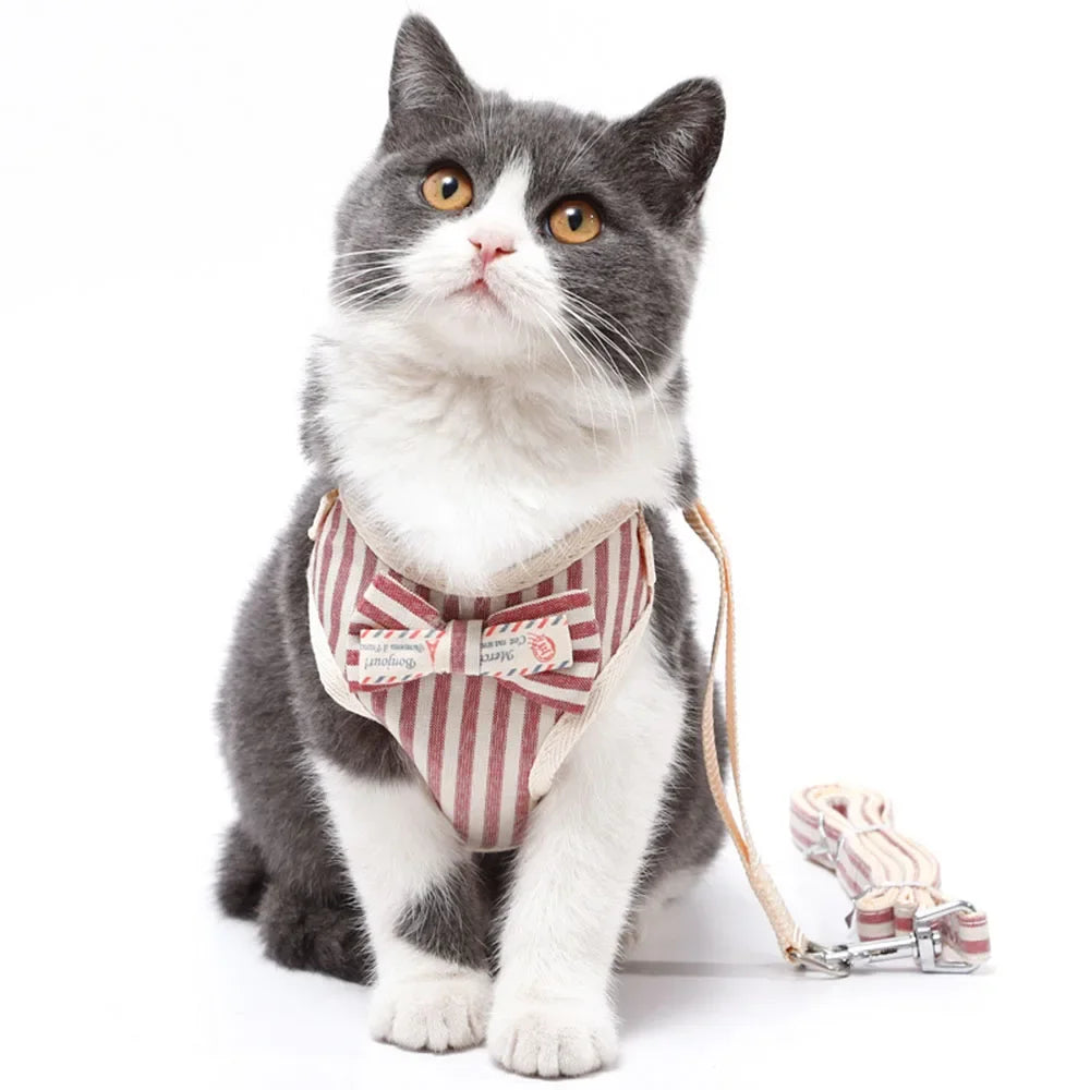 Nylon Mesh Cat & Small Dog Harness Set