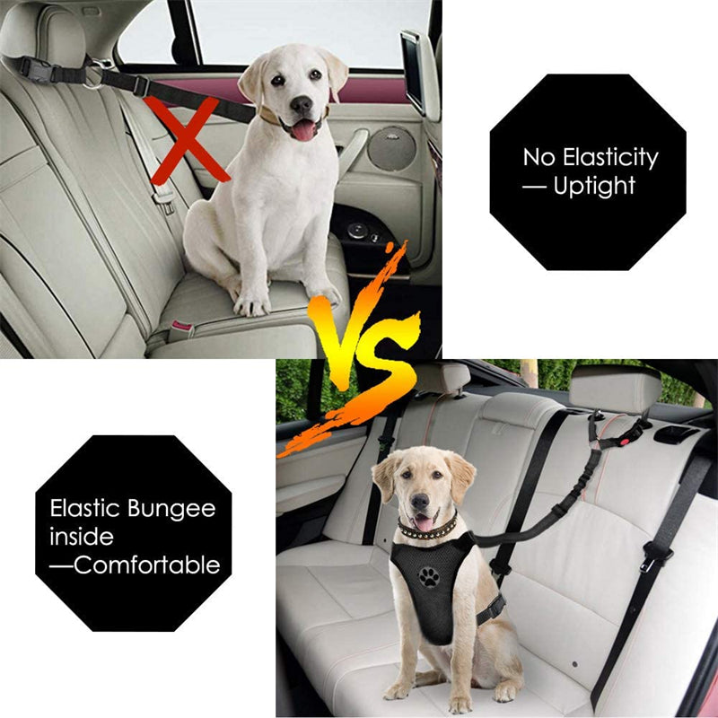 Reflective Dog Car Seat Belt and Walking Leash for Small Dogs