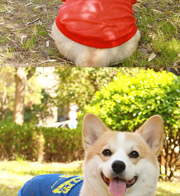 LA Style Dog Cooling Vest | Summer Breathable Shirt for Small to Large Dogs