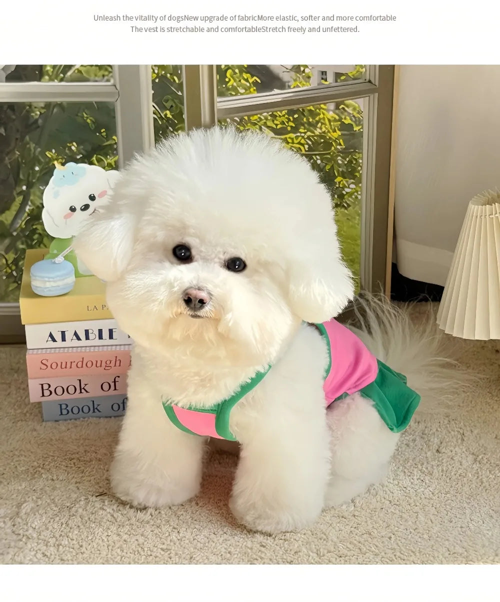 Robe et gilet rafraîchissants 2 en 1 pour petits chiens et chats | Jupe d'été respirante "Princesse" pour Chihuahuas et chiots