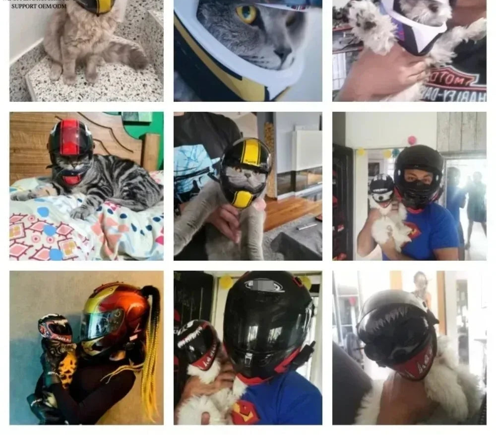 Full Face Pet Motorcycle Helmet for Cats & Small Dogs