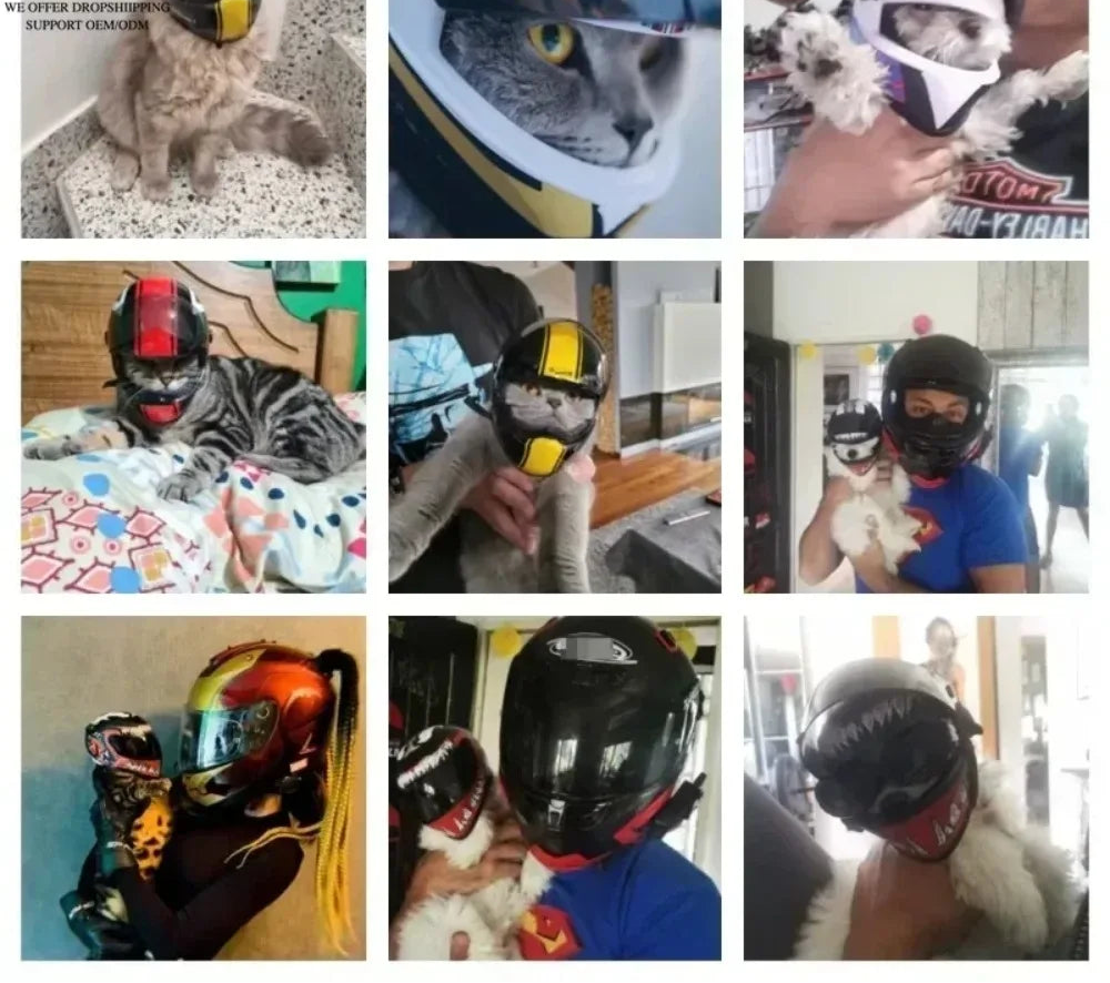 Pet Motorcycle Helmet for Cats & Small Dogs
