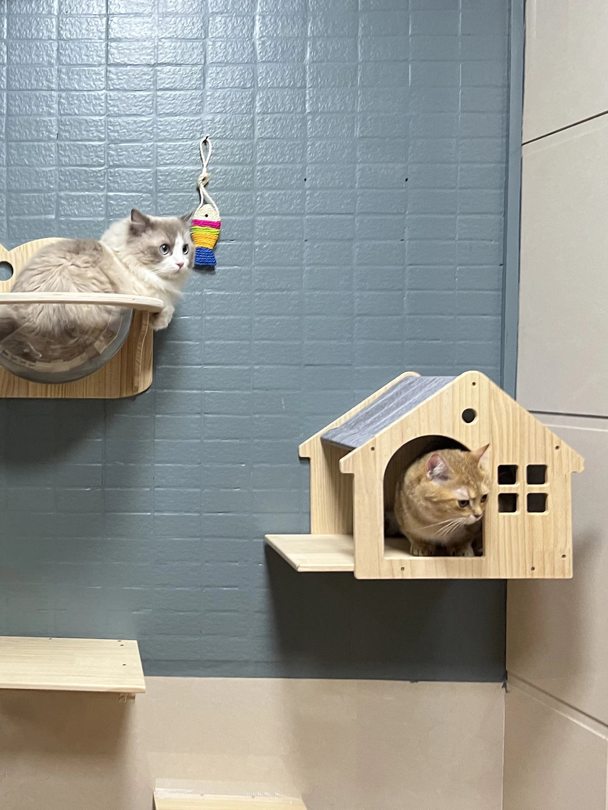 Wall-Mounted Cat Climbing Shelves & Hideaway Houses