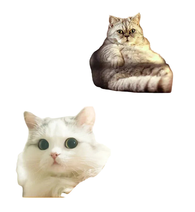 Jouet pour chat "Spring Swing" avec plumes