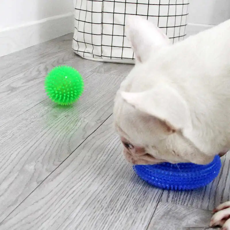 Squeaky Donut Chew Toy for Small & Medium Dogs