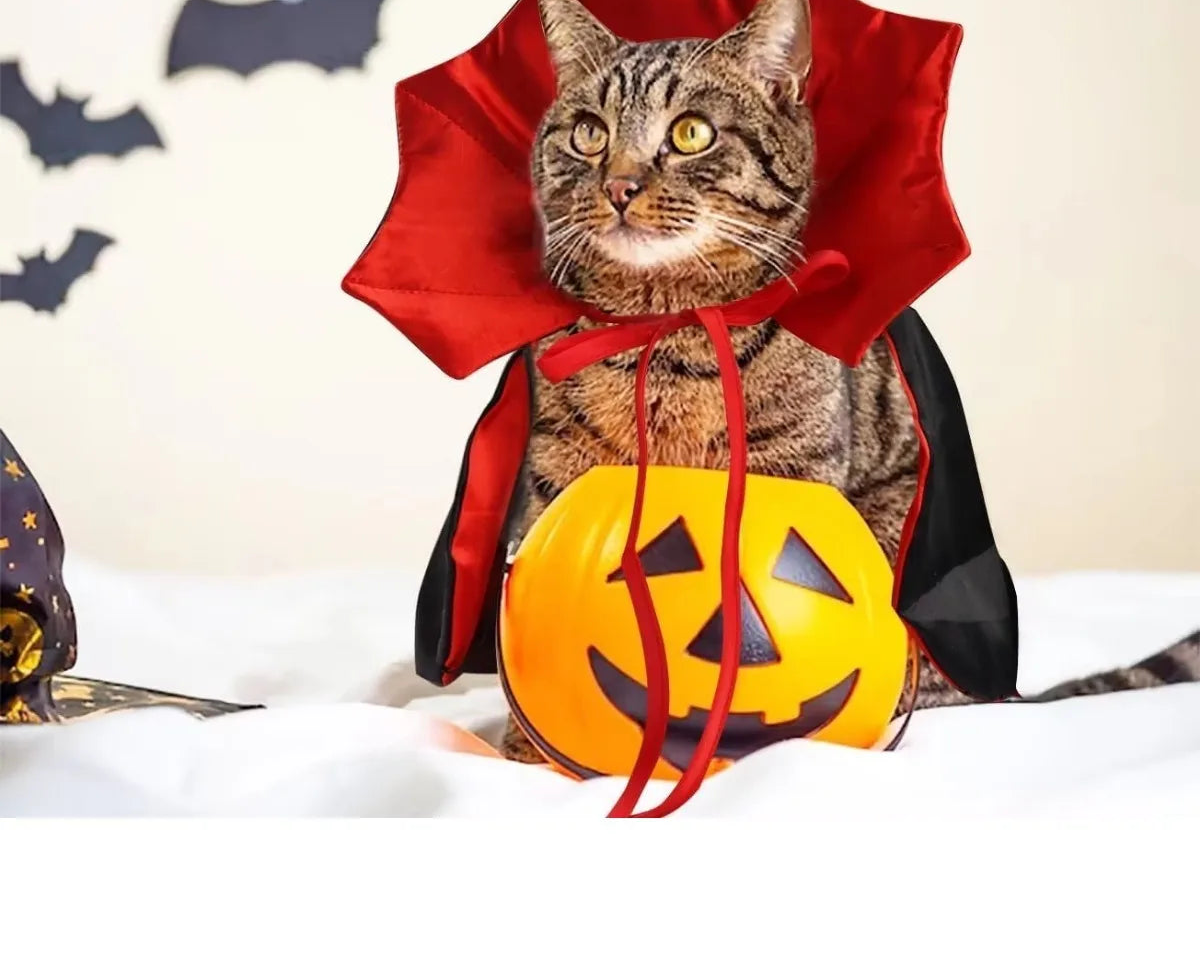 Cape de vampire pour chat – Costume d'Halloween réglable pour animaux de compagnie