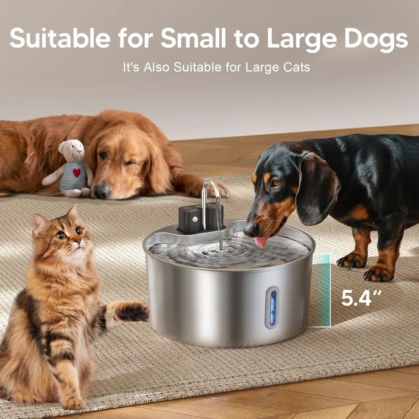 Fontaine à eau sans fil en acier inoxydable de 7 L pour chat — Sans fil intérieur