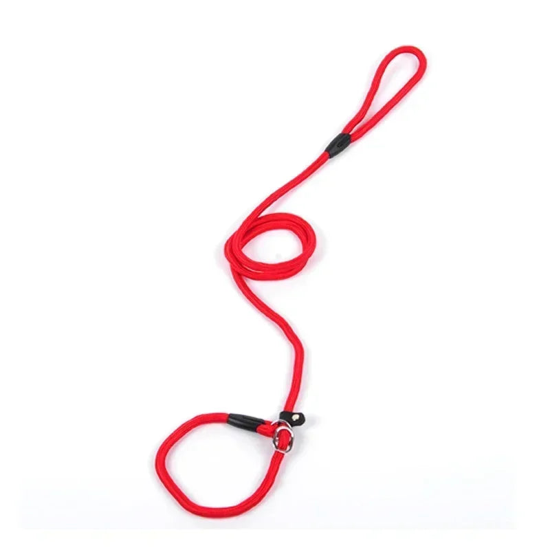 Comfortable Nylon Dog Leash and Collar Set