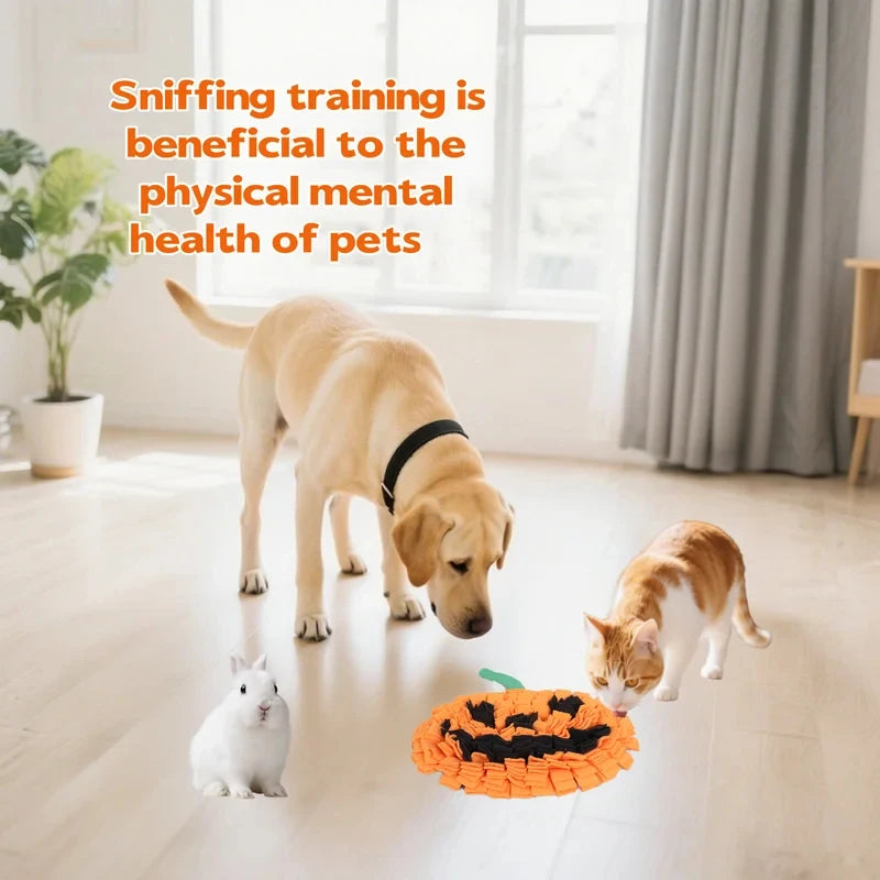Halloween Pumpkin Dog Snuffle Mat