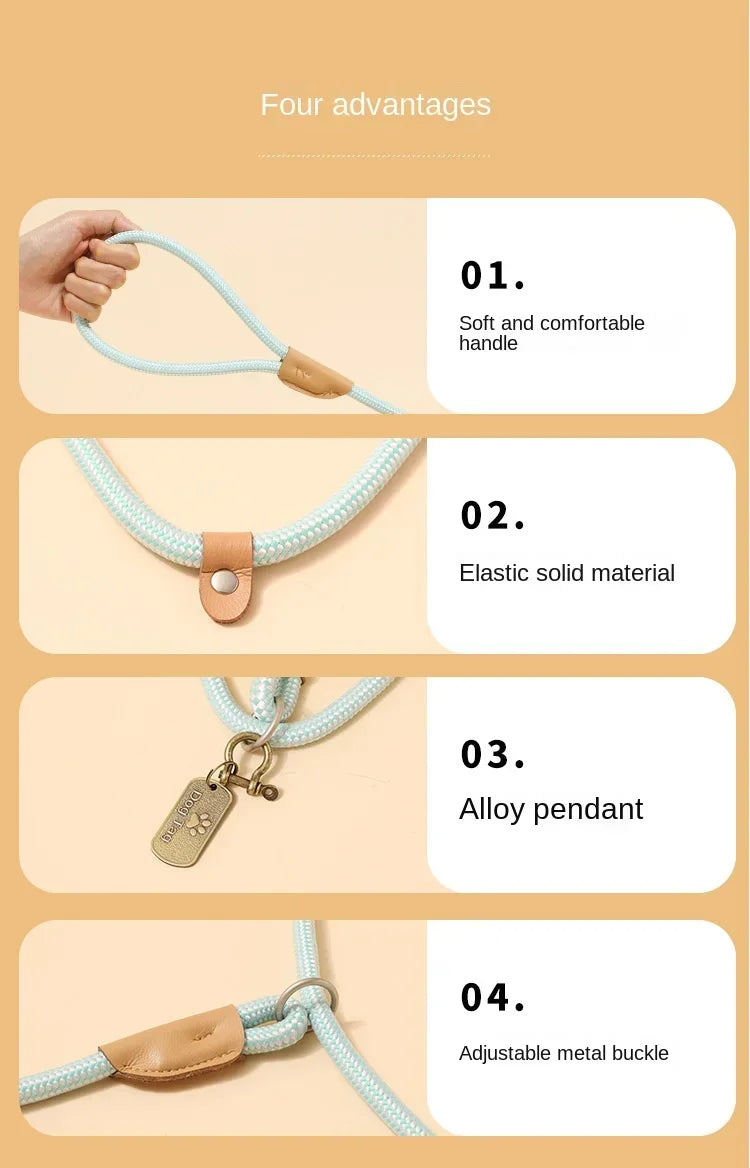 Ensemble laisse et harnais réglables en nylon pour chien