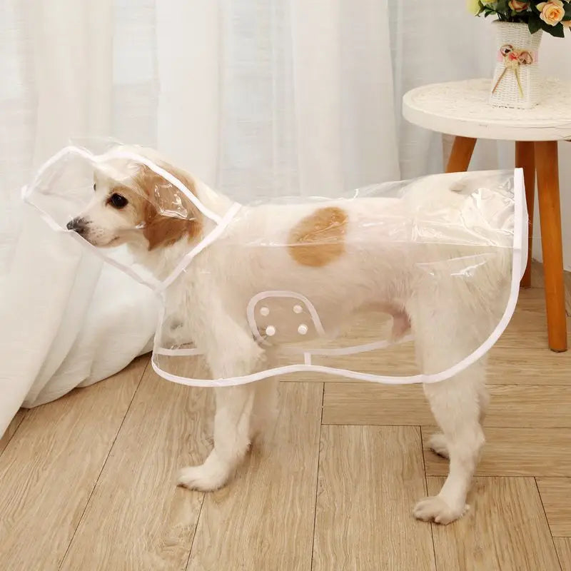 Transparent Waterproof Raincoat for Small & Medium Dogs