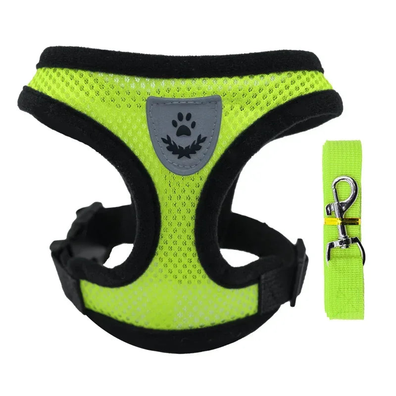 Harnais anti-évasion pour chat et chien avec laisse - Gilet en maille réglable pour la promenade