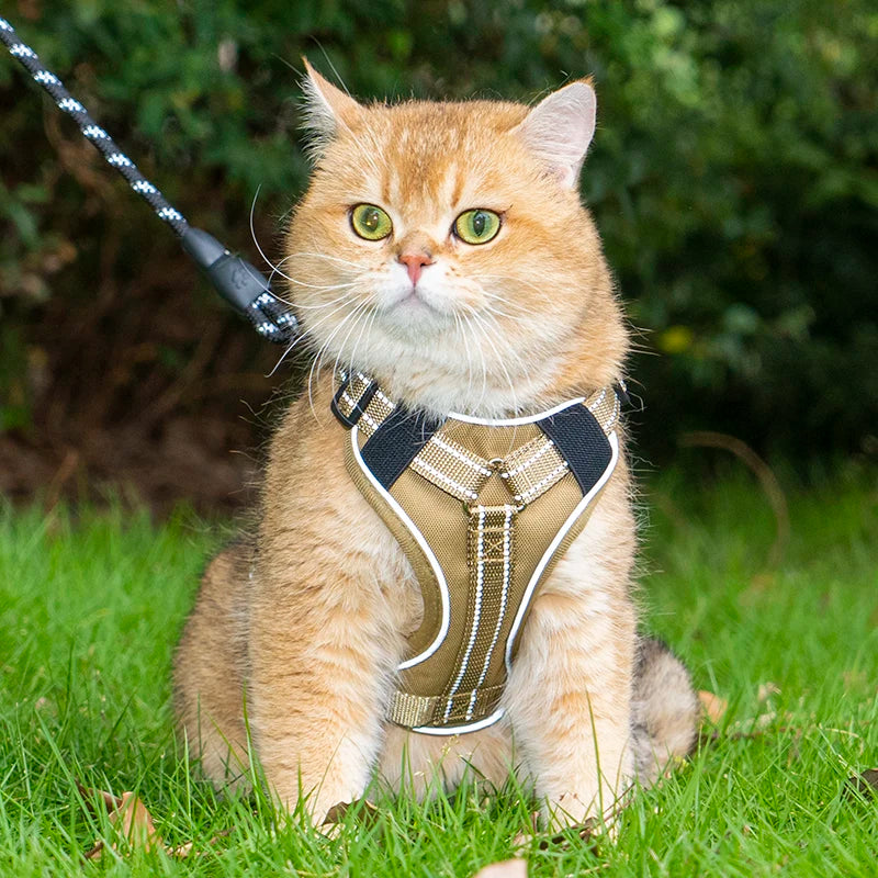 Escape-Proof Tactical Cat Harness — Soft Mesh Vest for Cats & Small Dogs