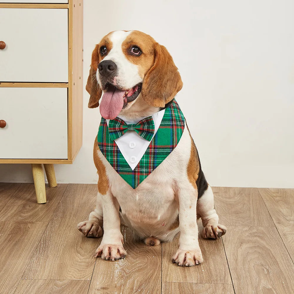 Dog Bow Tie & Bandana Set
