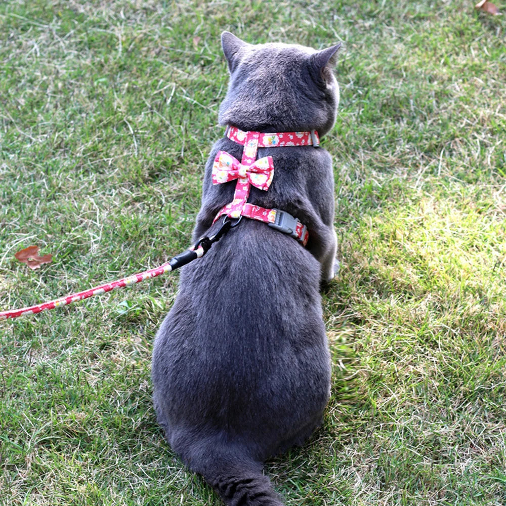 Floral Print Harness & Leash Set for Cats & Small Dogs