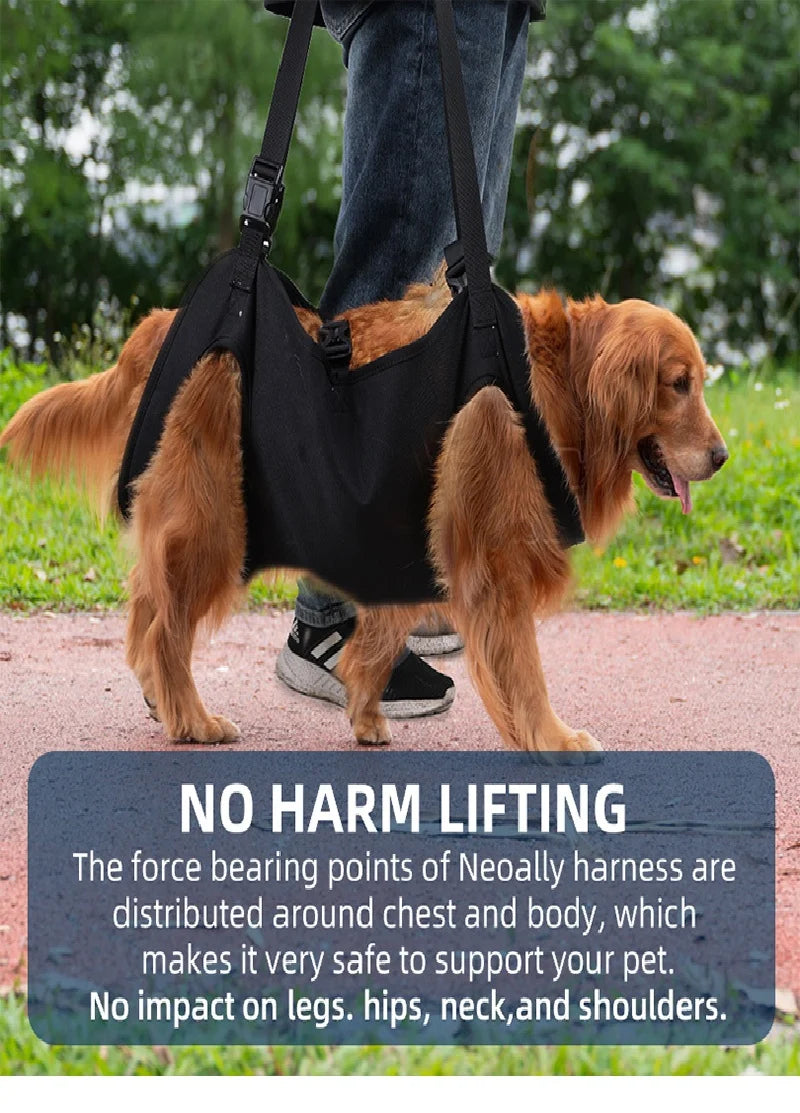Dog Body Support Lift Harness for Injured, Disabled & Elderly Dogs – Soft Oxford Carry Sling