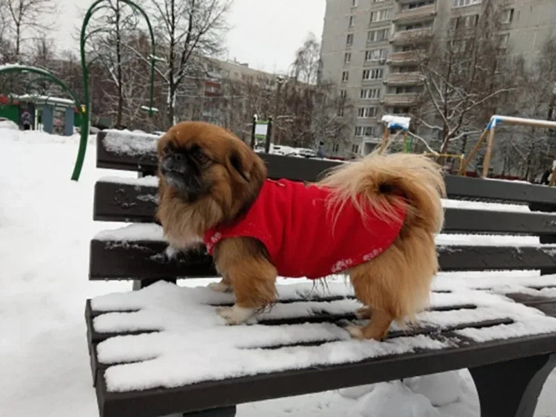 Gilet Polaire pour Petits Chiens et Chats | Manteau d'Hiver Chaud pour Chihuahuas et Bouledogues Français