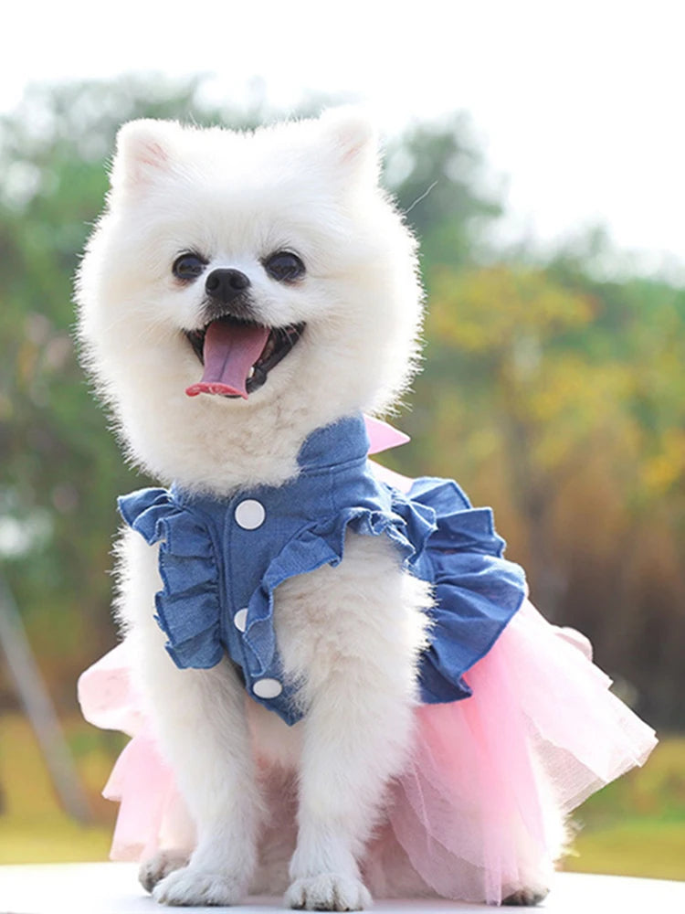 Denim Princess Dress for Small Dogs & Cats — XS to XXL
