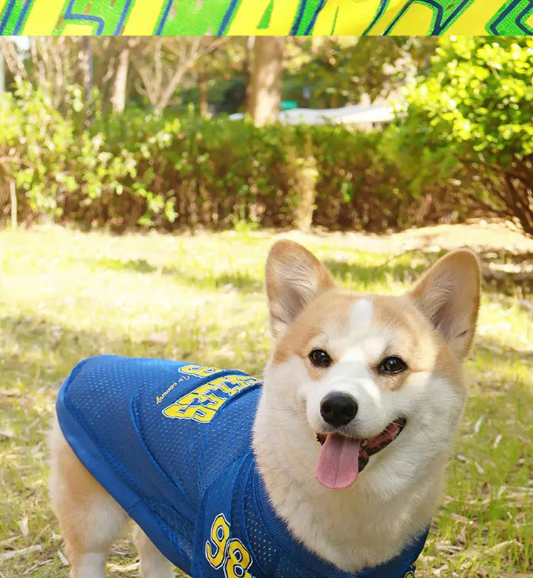 LA Style Dog Cooling Vest | Summer Breathable Shirt for Small to Large Dogs