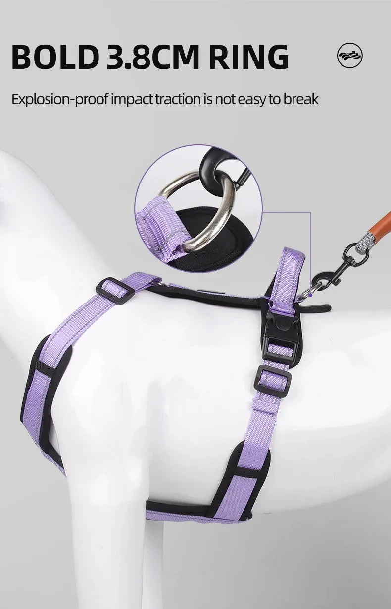 Ensemble Harnais et Collier Professionnel pour Dressage de Chien
