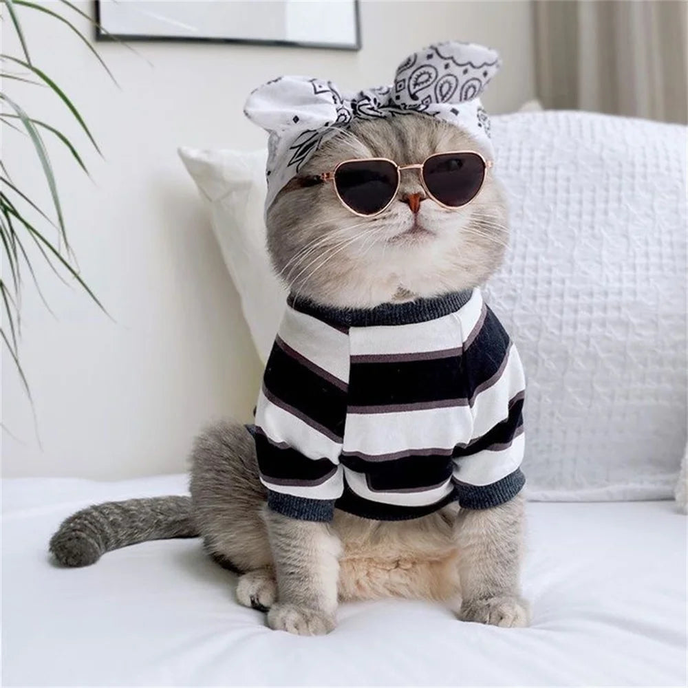 Heart-Shaped Sunglasses for Cats & Kittens