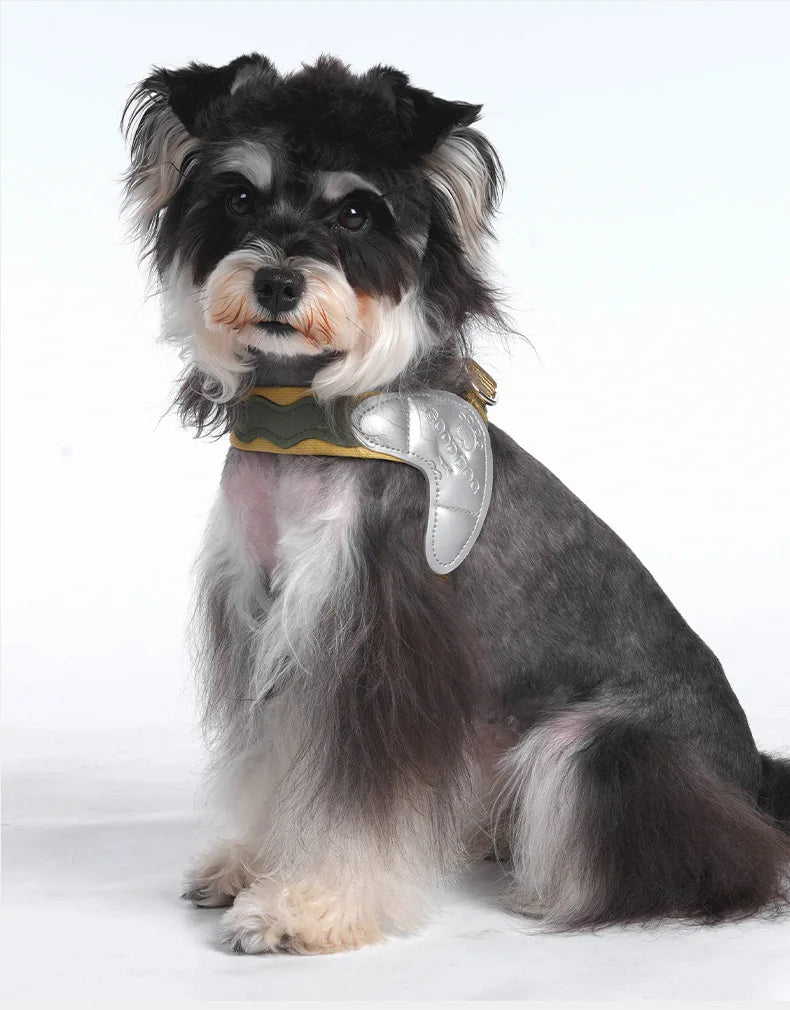 Adjustable Reflective Vest Harness for Small Dogs & Cats