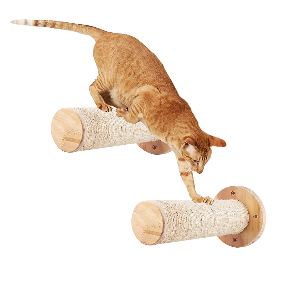 Wall-Mounted Cat Climbing Furniture & Hammocks