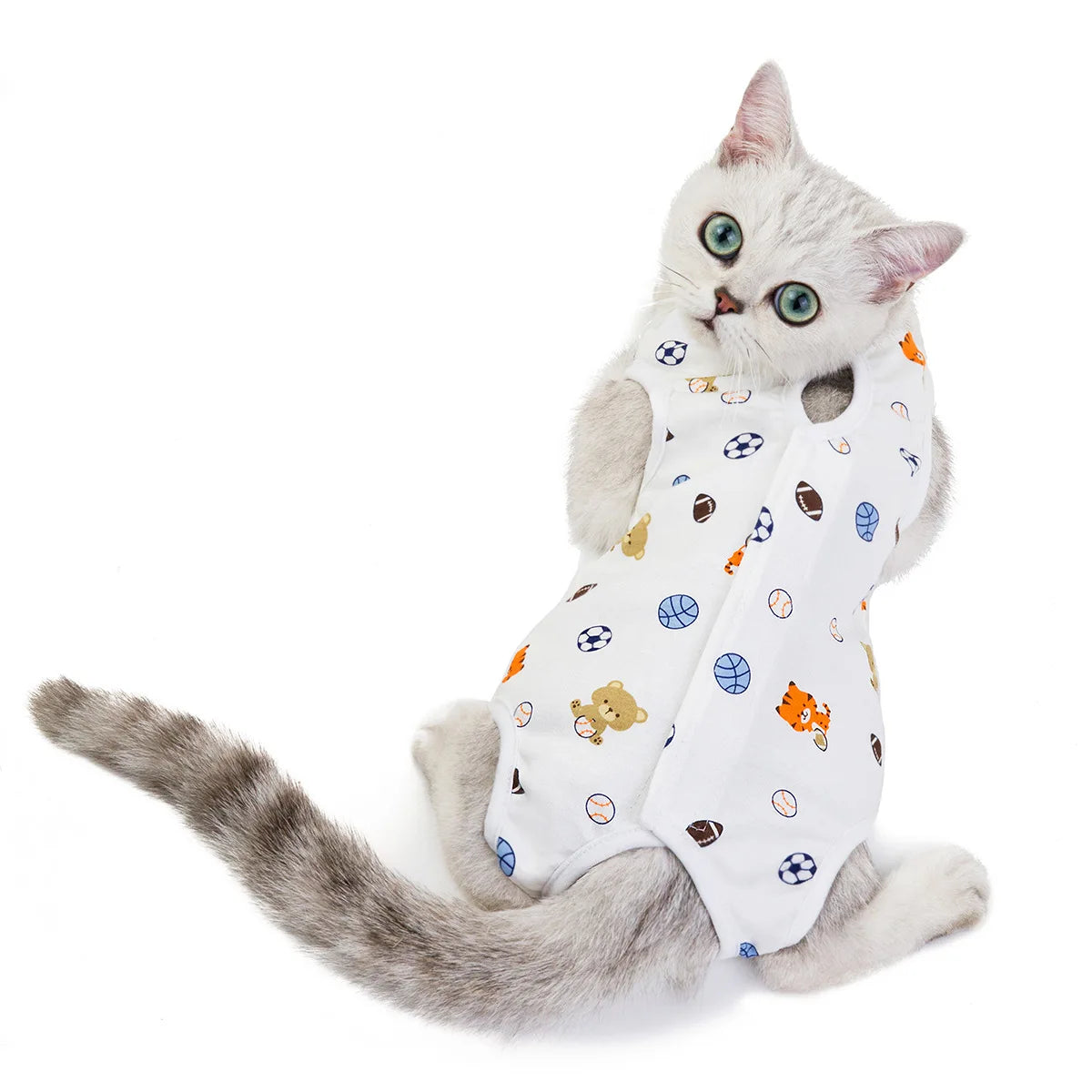 Combinaison de récupération post-opératoire pour chats et petits chiens