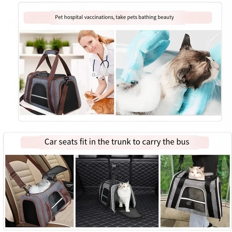 Foldable Pet Travel Carrier