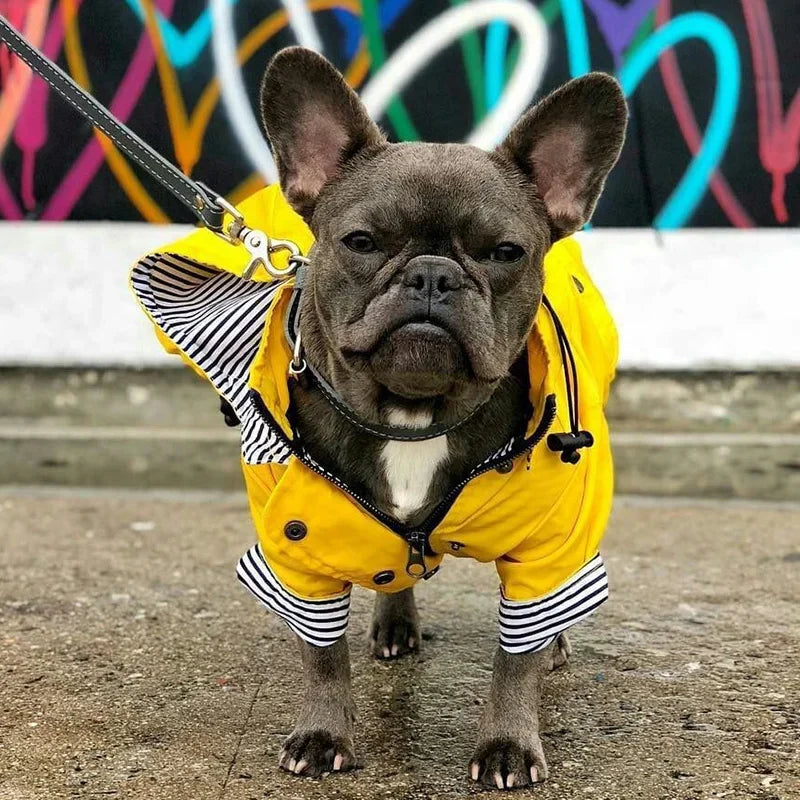 Waterproof Striped Raincoat for Dogs