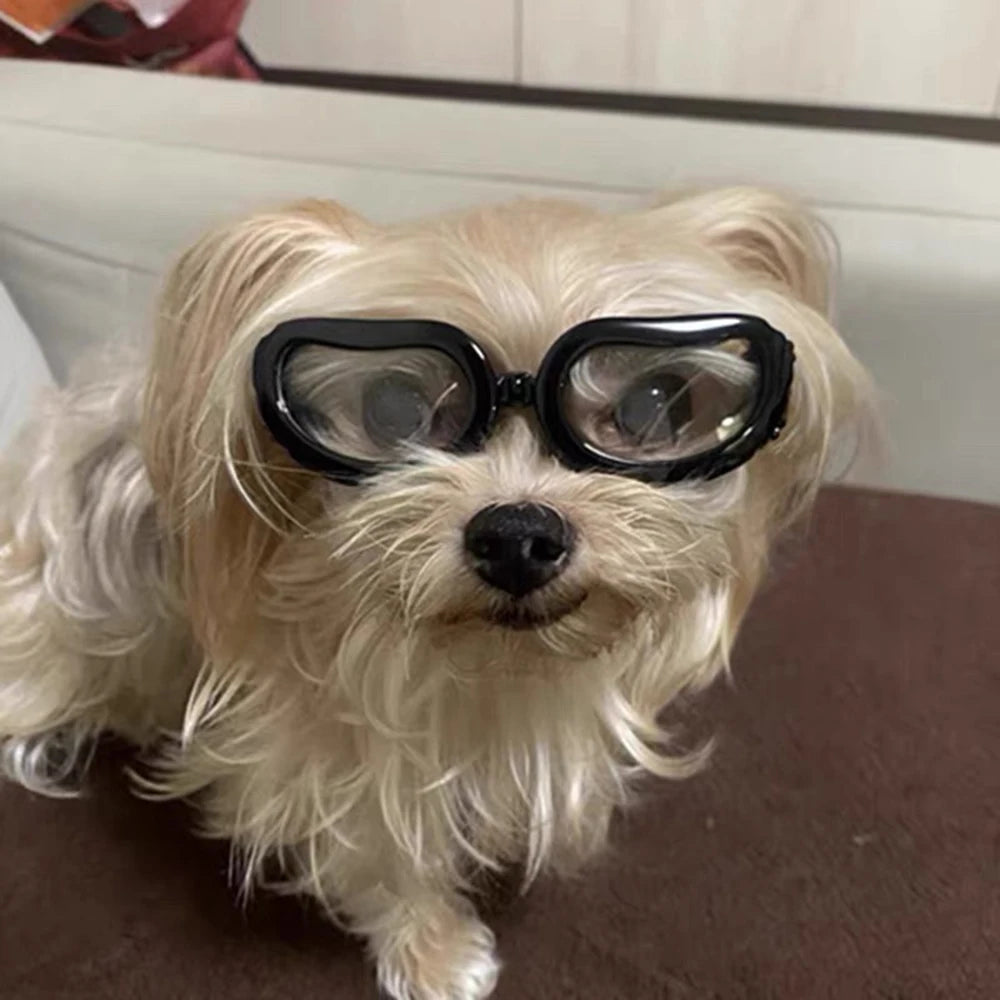 UV & Windproof Sunglasses Goggles for Small Dogs & Cats