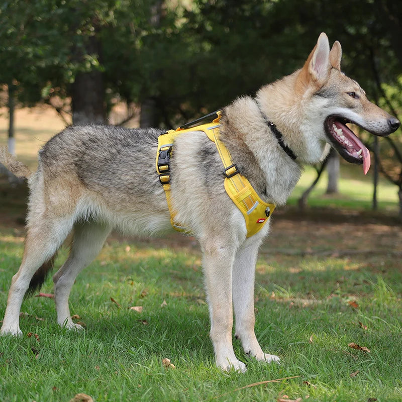 Adjustable Reflective Dog Harness - Safety Vest for Small & Large Dogs