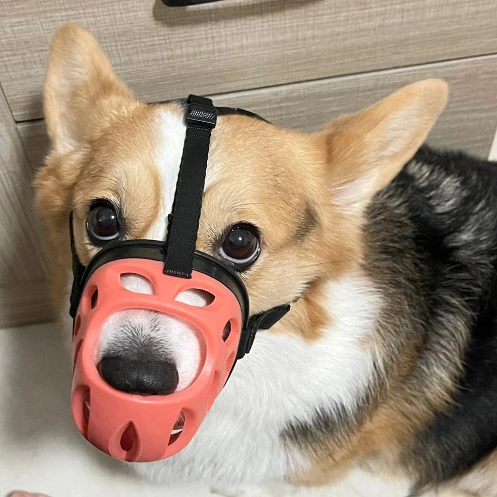 Breathable Anti-Bite Dog Muzzle with Open Nose