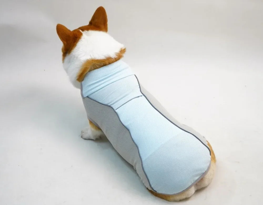 Ice Pack Cooling Vest for Small & Medium Dogs