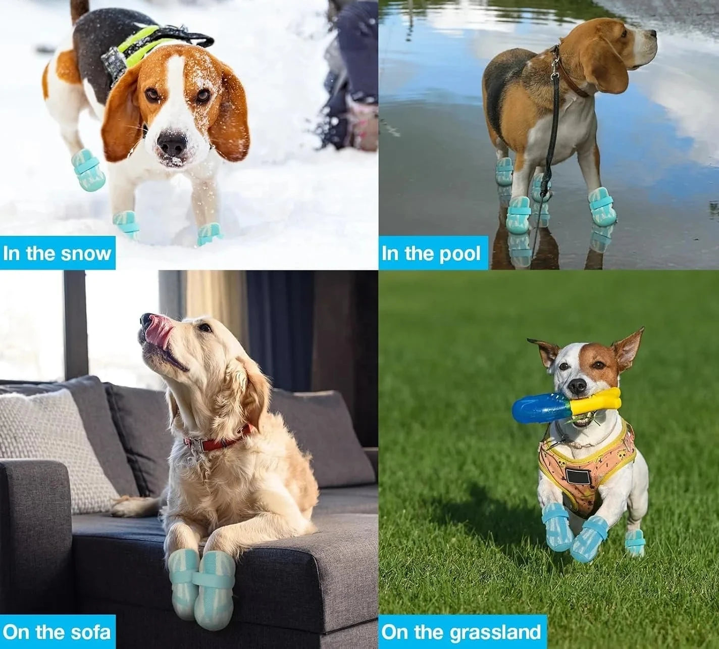 Bottes antidérapantes respirantes pour chiens toutes saisons