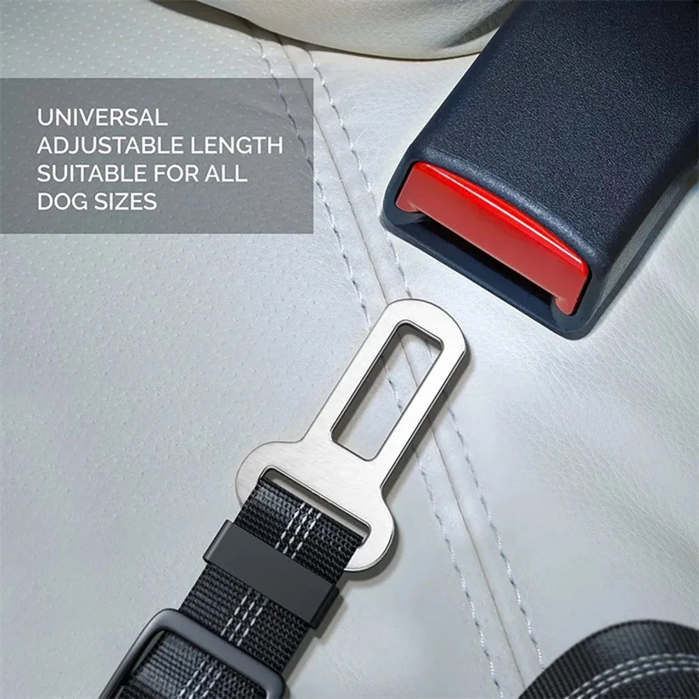 Ceinture de sécurité rétractable pour chien avec bande réfléchissante