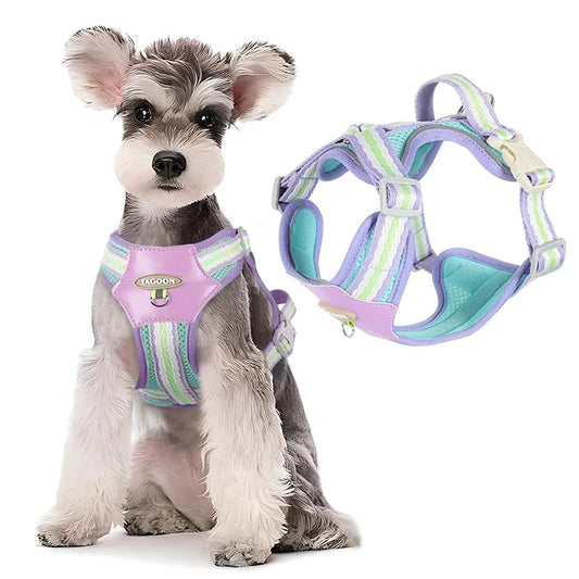 Tactical Dog Harness with Chest Leash