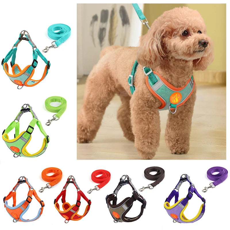 Reflective Soft Mesh Dog Harness with Dual Lead Hooks – No-Pull Vest for Small & Medium Dogs