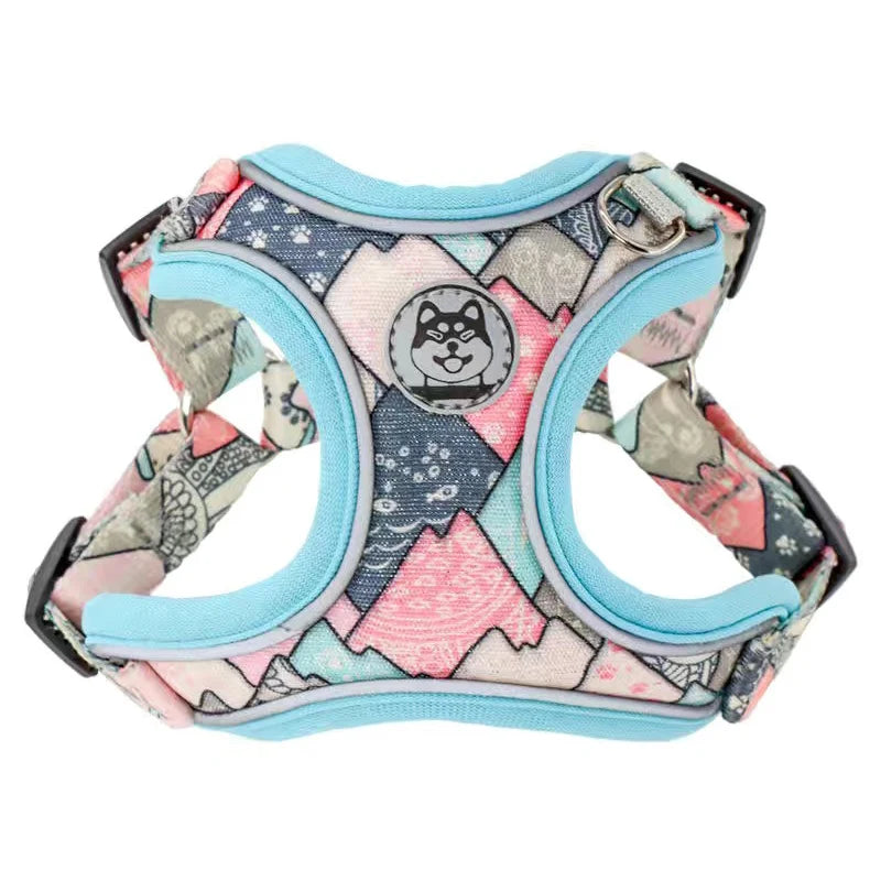 Adjustable Dog Harness & Leash Set