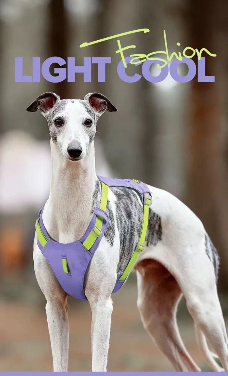 Lightweight No-Pull Reflective Dog & Cat Harness Vest