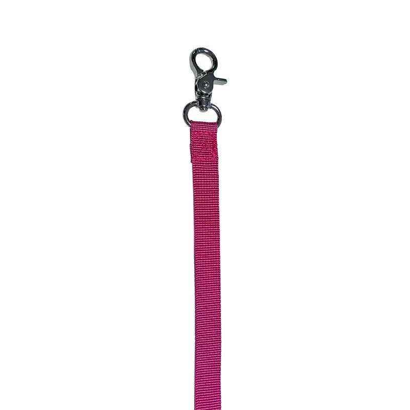 Ensemble Harnais et Laisse Réfléchissants Ajustables pour Chiens et Chats de Petite et Moyenne Taille