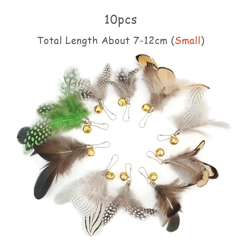 Feather Cat Teaser Toy Replacement Pack (10pcs)