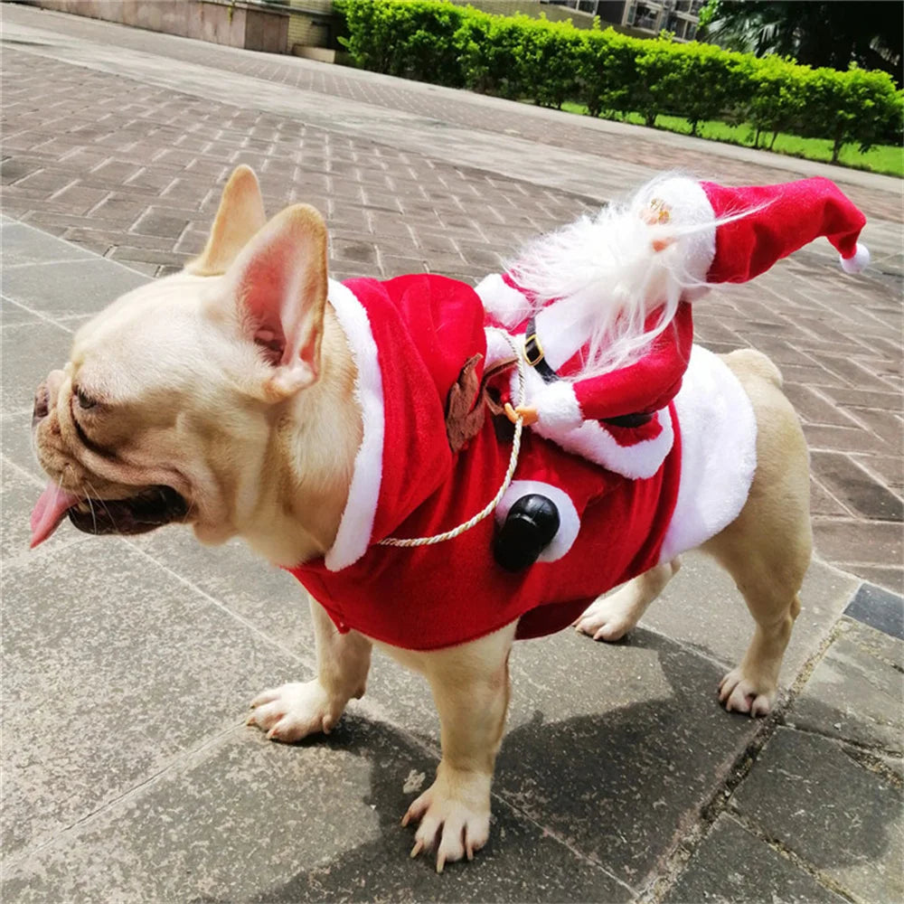 Christmas Santa Cloak Pet Costume