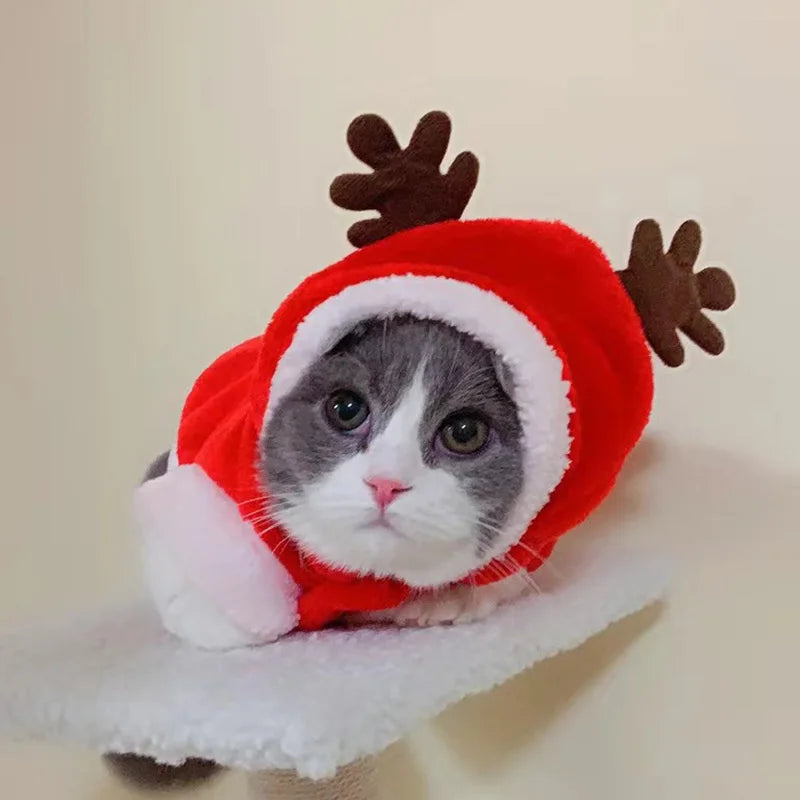 Christmas Costume for Cats & Small Dogs